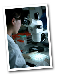 A research student using microscope