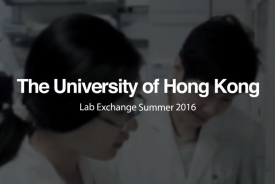 HKU Lab Exchange Summer Programme 2016